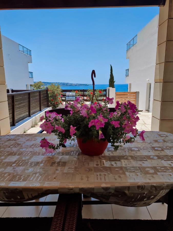 3 Bedroom Seaview Villa Direct In Coral Bay With Pool Exteriör bild