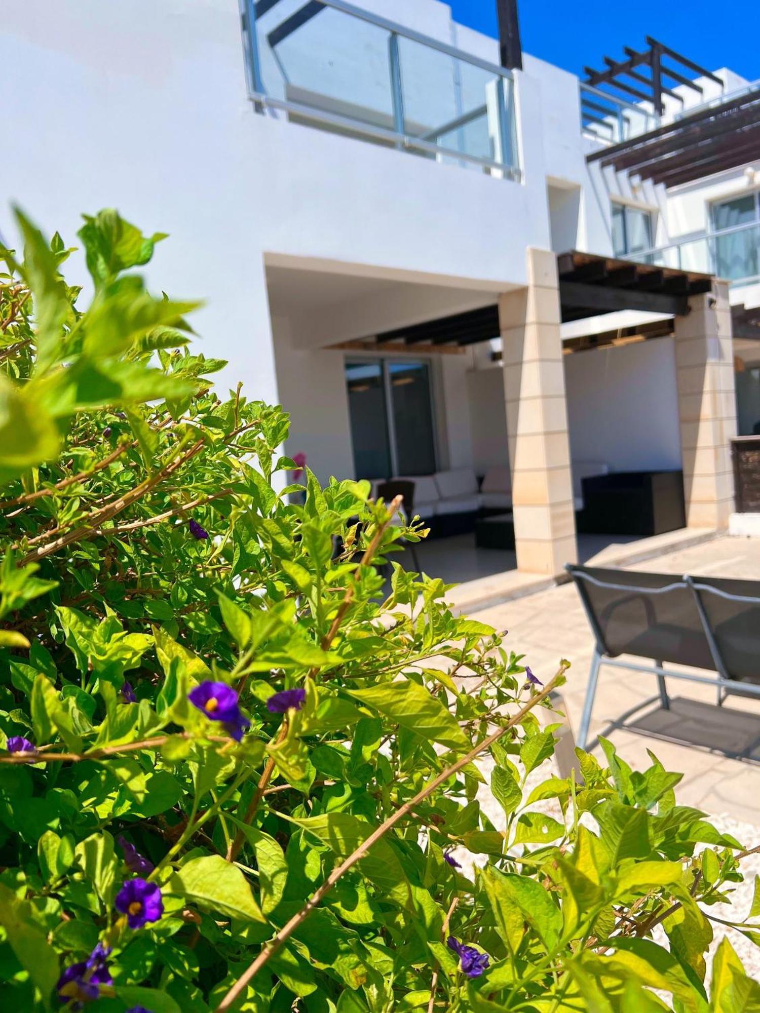 3 Bedroom Seaview Villa Direct In Coral Bay With Pool Exteriör bild